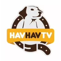 Havhav TV